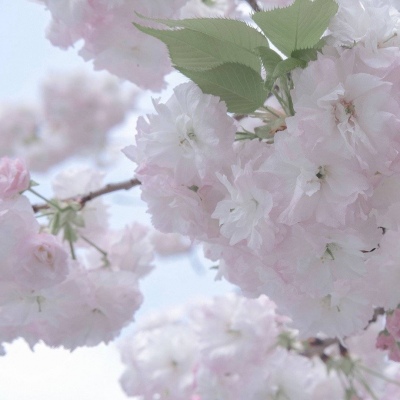 贵定FurryQQ群介绍